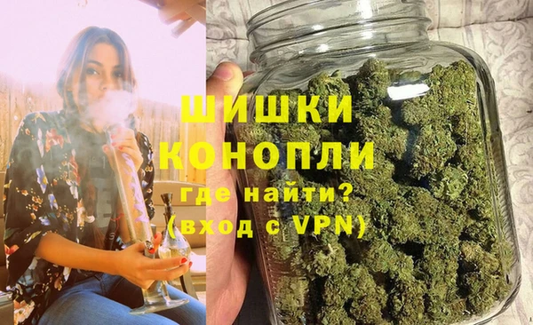 PSILOCYBIN Краснослободск