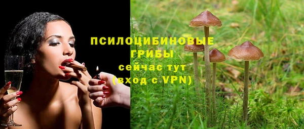 ПСИЛОЦИБИНОВЫЕ ГРИБЫ Орск
