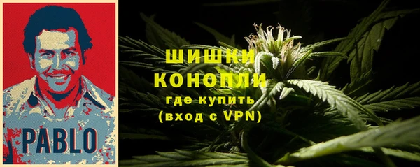 PSILOCYBIN Краснослободск