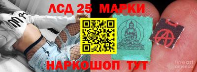 гидропоника Заводоуковск