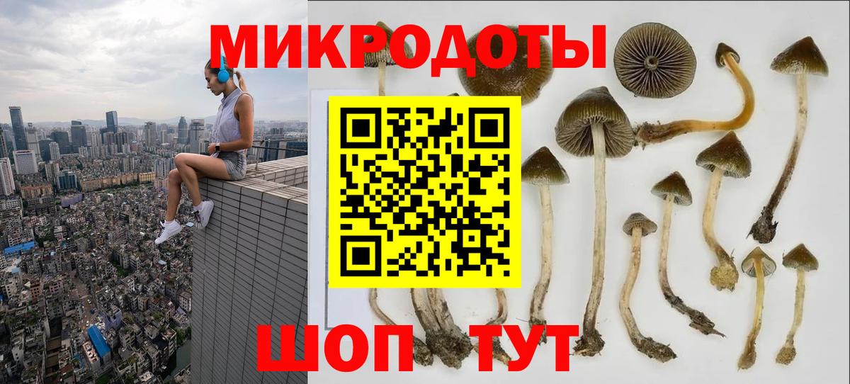 Псилоцибиновые грибы GOLDEN TEACHER  Вход с VPN  купить   Михайловка 