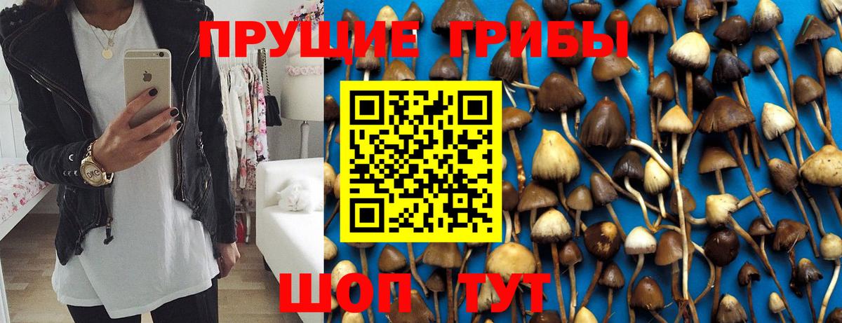 Галлюциногенные грибы прущие грибы Михайловка