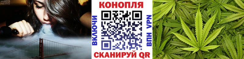 Бошки марихуана MAZAR  mega ONION  Михайловка 